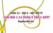 Giải 1.14 Toán 12 tập 1 SGK Kết nối tri thức